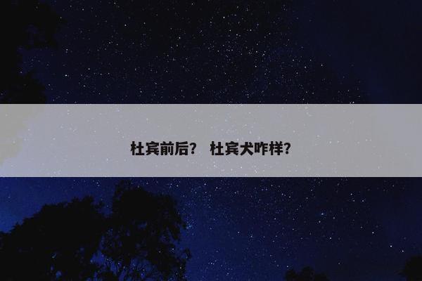 杜宾前后？ 杜宾犬咋样？