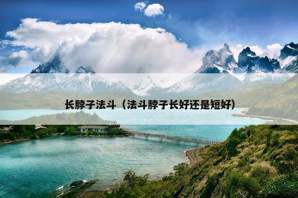 长脖子法斗（法斗脖子长好还是短好）