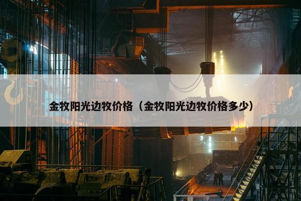 金牧阳光边牧价格（金牧阳光边牧价格多少）