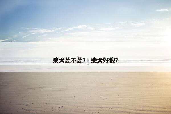 柴犬怂不怂？ 柴犬好傻？