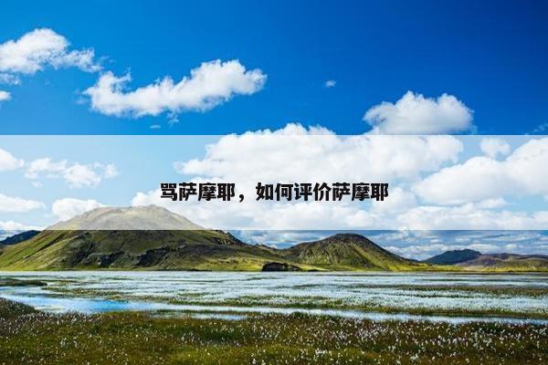 骂萨摩耶，如何评价萨摩耶