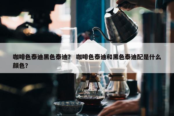 咖啡色泰迪黑色泰迪？ 咖啡色泰迪和黑色泰迪配是什么颜色？