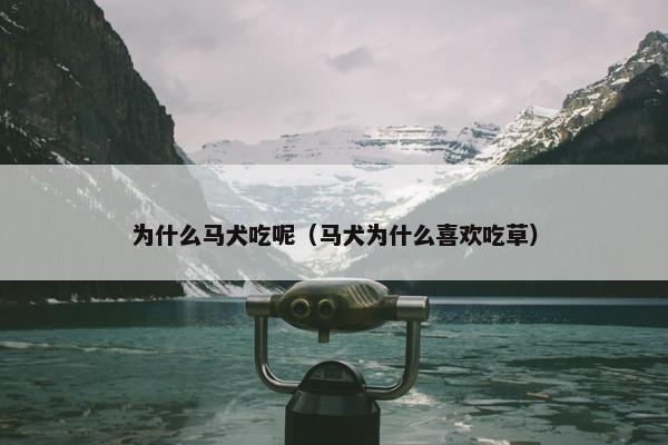 为什么马犬吃呢（马犬为什么喜欢吃草）