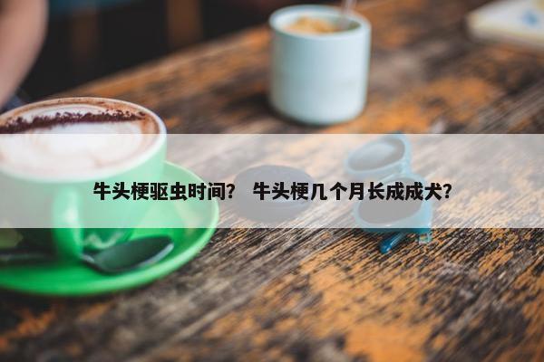 牛头梗驱虫时间？ 牛头梗几个月长成成犬？