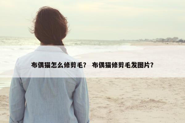 布偶猫怎么修剪毛？ 布偶猫修剪毛发图片？