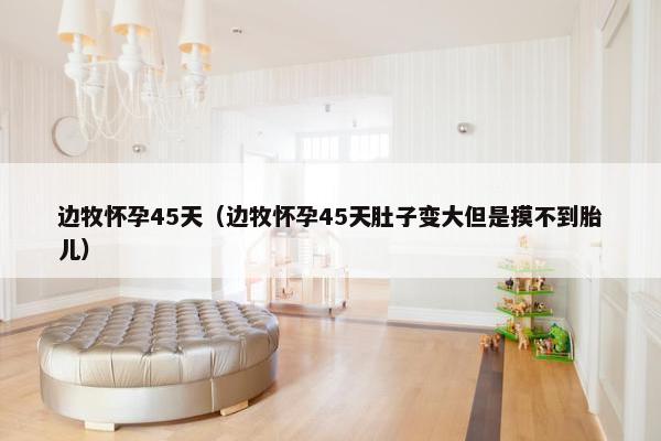 边牧怀孕45天（边牧怀孕45天肚子变大但是摸不到胎儿）