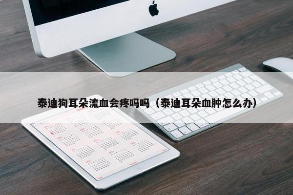 泰迪狗耳朵流血会疼吗吗（泰迪耳朵血肿怎么办）