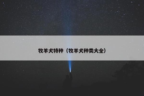 牧羊犬特种（牧羊犬种类大全）