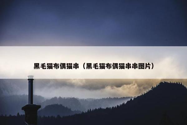 黑毛猫布偶猫串（黑毛猫布偶猫串串图片）