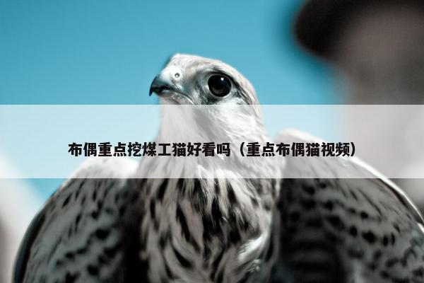 重点 第2页