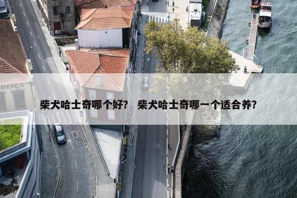 柴犬哈士奇哪个好？ 柴犬哈士奇哪一个适合养？