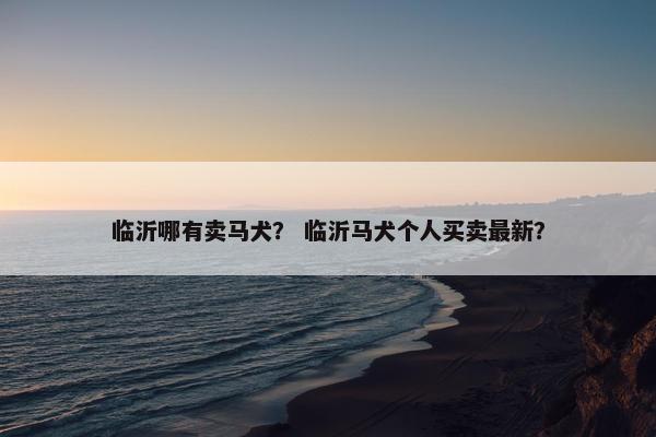 临沂哪有卖马犬？ 临沂马犬个人买卖最新？