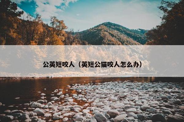公猫 第3页