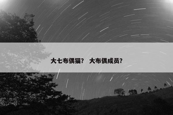 大七布偶猫？ 大布偶成员？