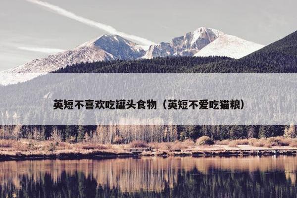 英短不喜欢吃罐头食物（英短不爱吃猫粮）