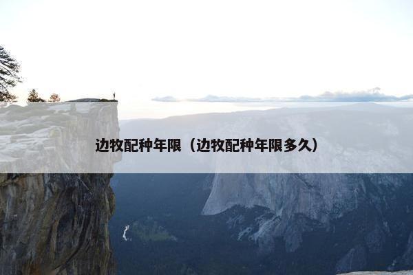 边牧配种年限（边牧配种年限多久）