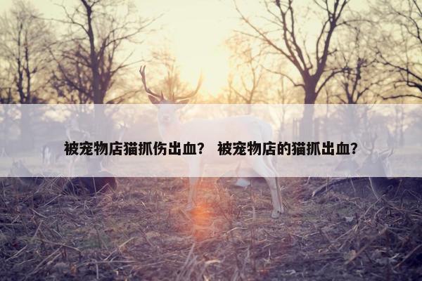 被宠物店猫抓伤出血？ 被宠物店的猫抓出血？
