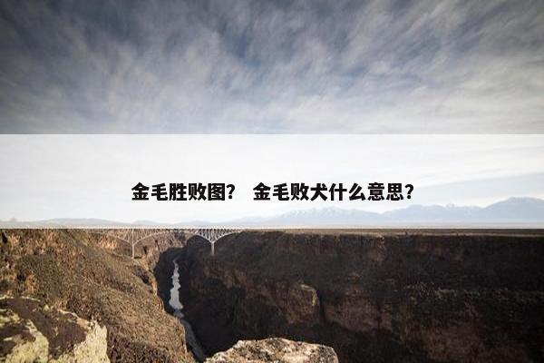 金毛胜败图？ 金毛败犬什么意思？