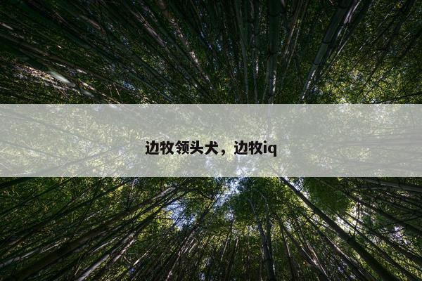 放羊