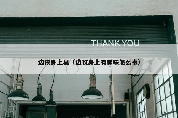 边牧身上臭（边牧身上有腥味怎么事）