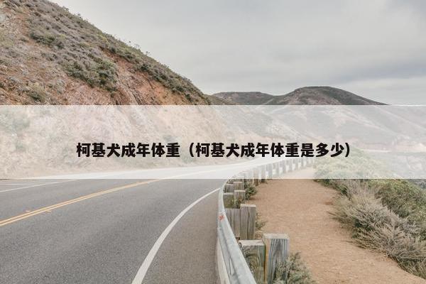 柯基犬成年体重（柯基犬成年体重是多少）