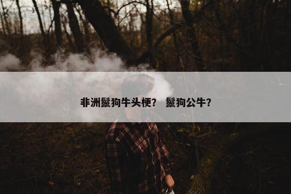 非洲鬣狗牛头梗？ 鬣狗公牛？