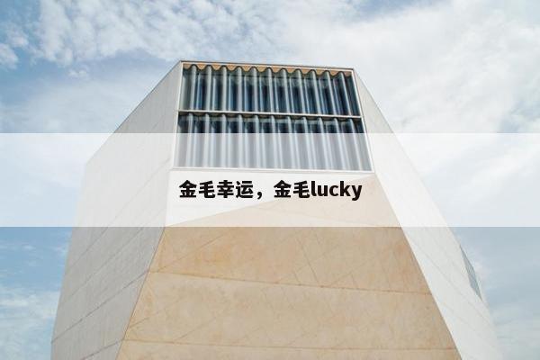 金毛幸运，金毛lucky