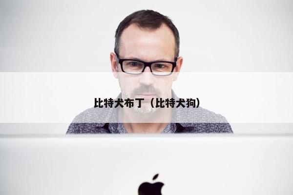 比特犬布丁（比特犬狗）