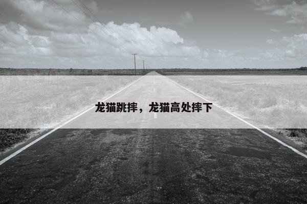 龙猫跳摔，龙猫高处摔下