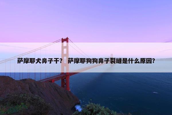 萨摩耶犬鼻子干？ 萨摩耶狗狗鼻子裂缝是什么原因？