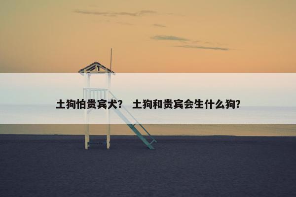 土狗怕贵宾犬？ 土狗和贵宾会生什么狗？