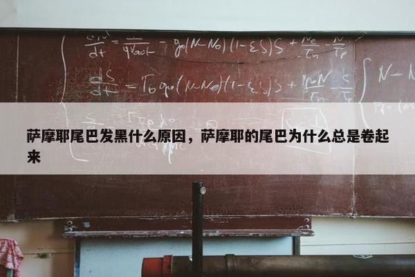 萨摩耶尾巴发黑什么原因，萨摩耶的尾巴为什么总是卷起来