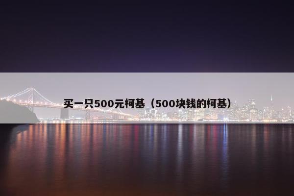 买一只500元柯基（500块钱的柯基）