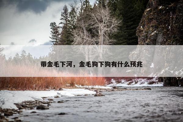 影响