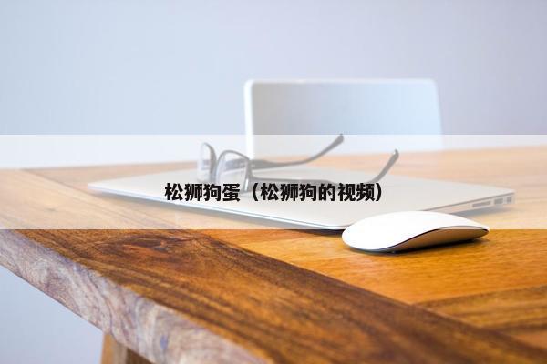 松狮狗蛋（松狮狗的视频）