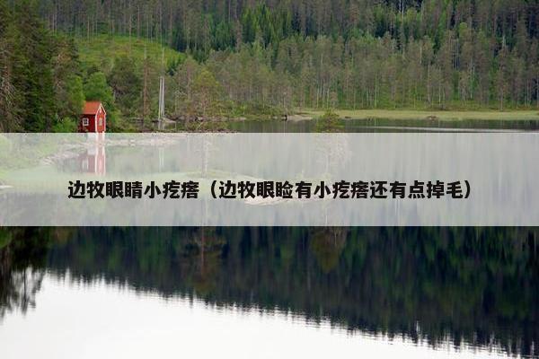 边牧眼睛小疙瘩（边牧眼睑有小疙瘩还有点掉毛）