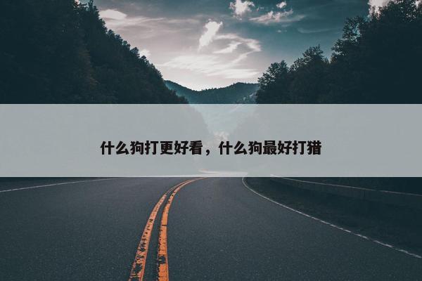 什么狗打更好看，什么狗最好打猎