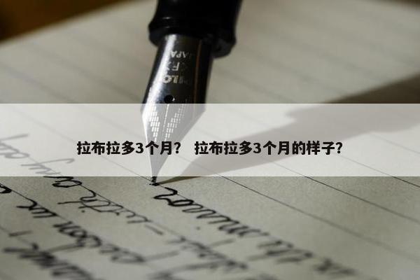 拉布拉多3个月？ 拉布拉多3个月的样子？