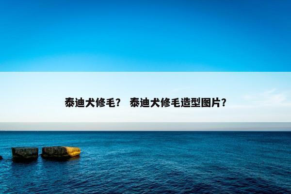 泰迪犬修毛？ 泰迪犬修毛造型图片？