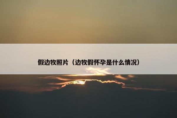 假边牧照片（边牧假怀孕是什么情况）