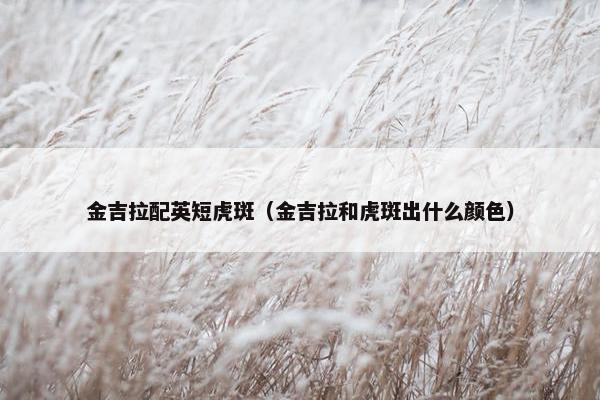 公金