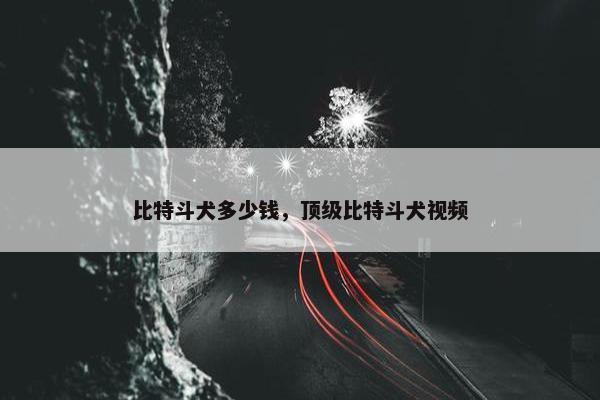 比特斗犬多少钱，顶级比特斗犬视频