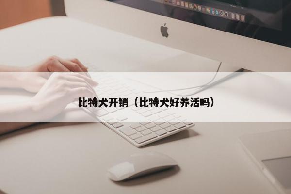 比特犬开销（比特犬好养活吗）