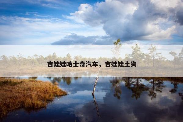 娃娃 第15页