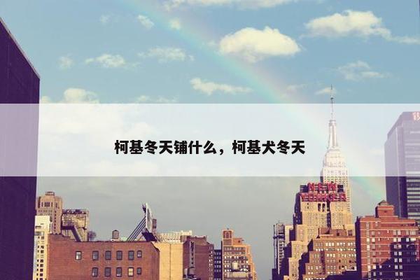 柯基冬天铺什么，柯基犬冬天