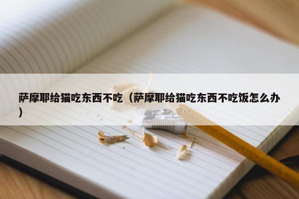 萨摩耶给猫吃东西不吃（萨摩耶给猫吃东西不吃饭怎么办）