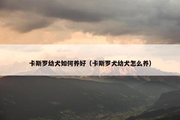 卡斯罗幼犬如何养好（卡斯罗犬幼犬怎么养）