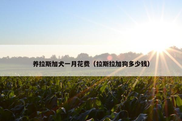 花费