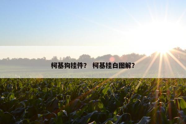 柯基狗挂件？ 柯基挂白图解？