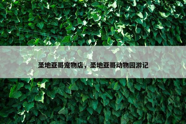经济